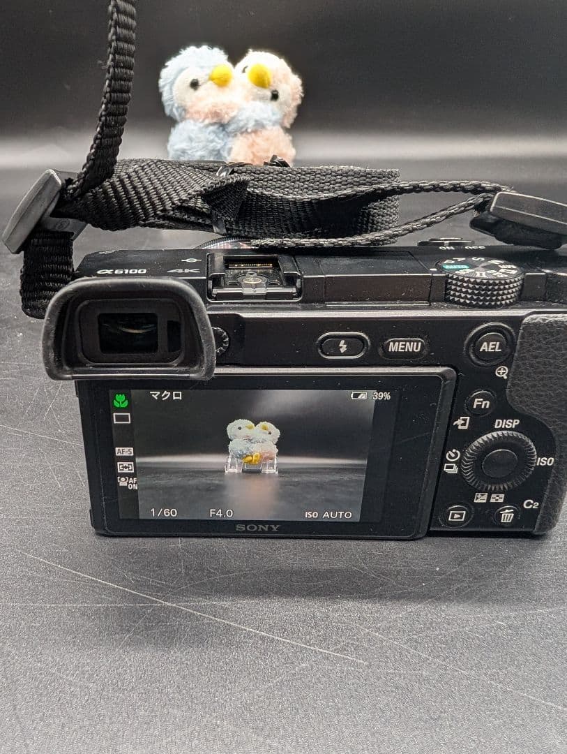 【動作良好】Sony α6100 SEL16F28　ミラーレス一眼