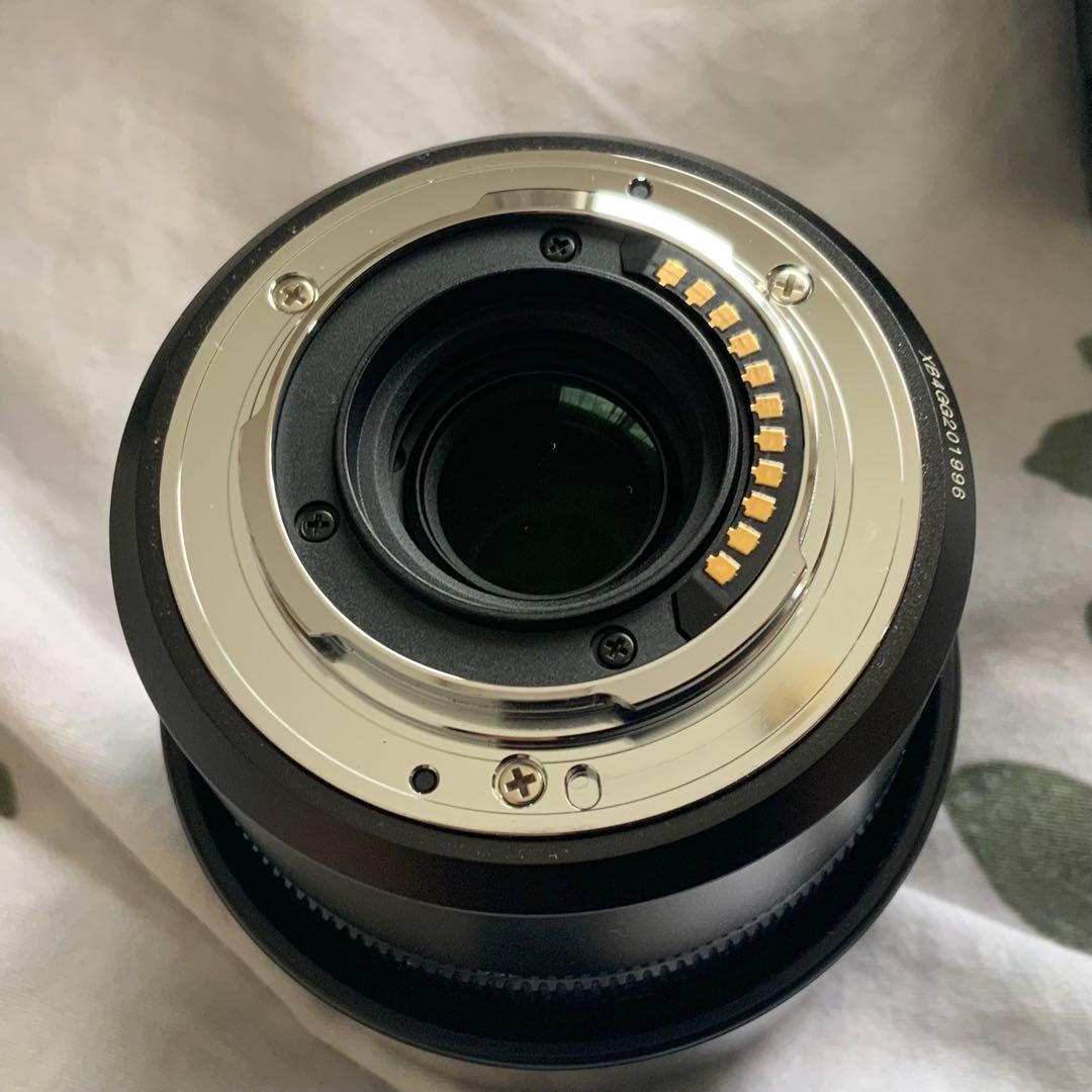 LUMIX G100D ダブルズームキット