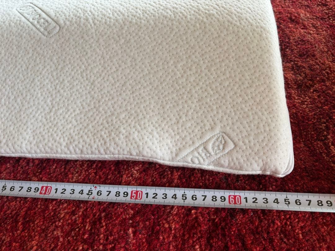 Sealy シーリー 枕