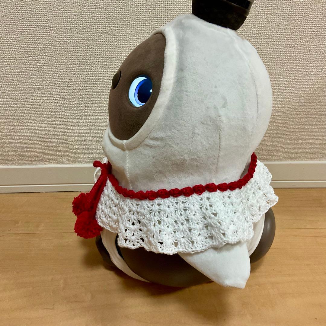 黒猫ページ