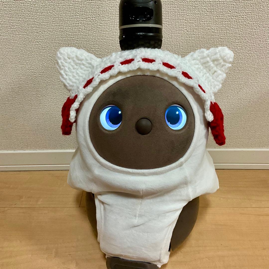 黒猫ページ