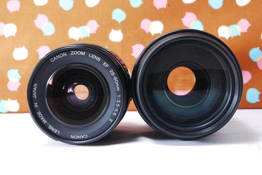 ✨ショット数1993回✨美品✨Canon Kiss X3 ダブルレンズセット