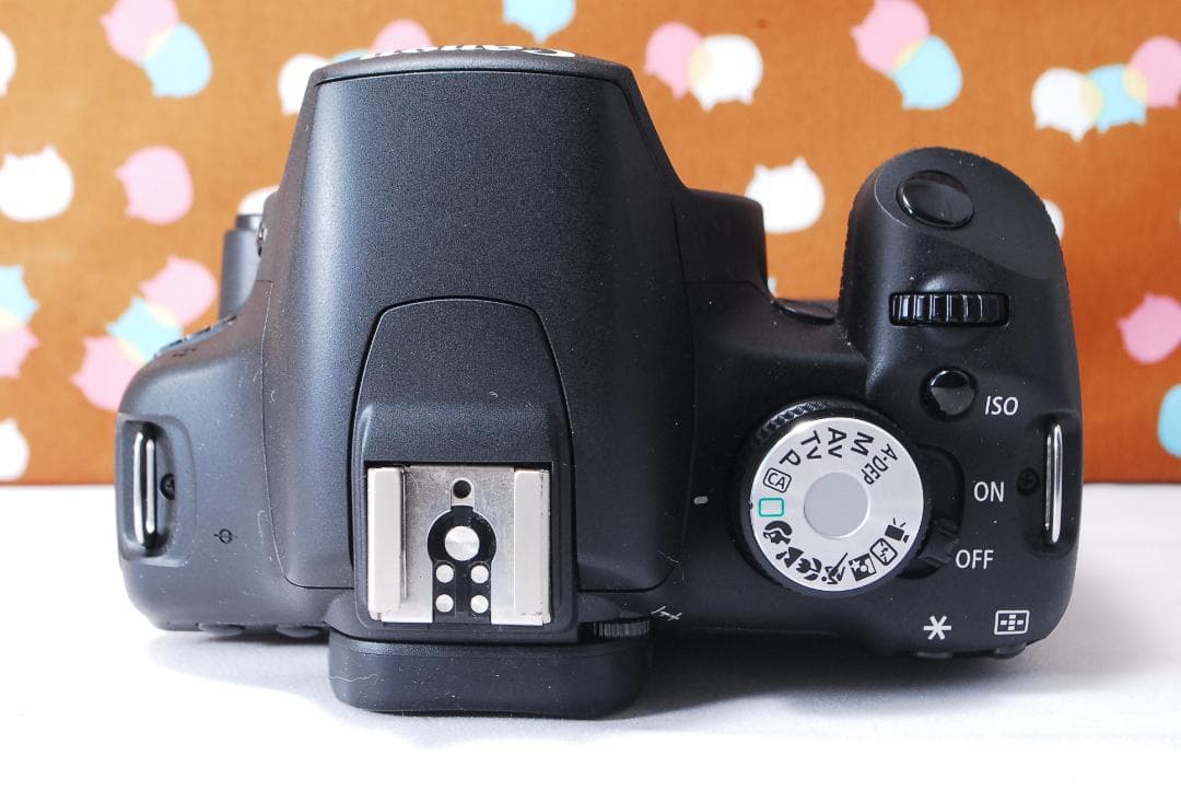 ✨ショット数1993回✨美品✨Canon Kiss X3 ダブルレンズセット