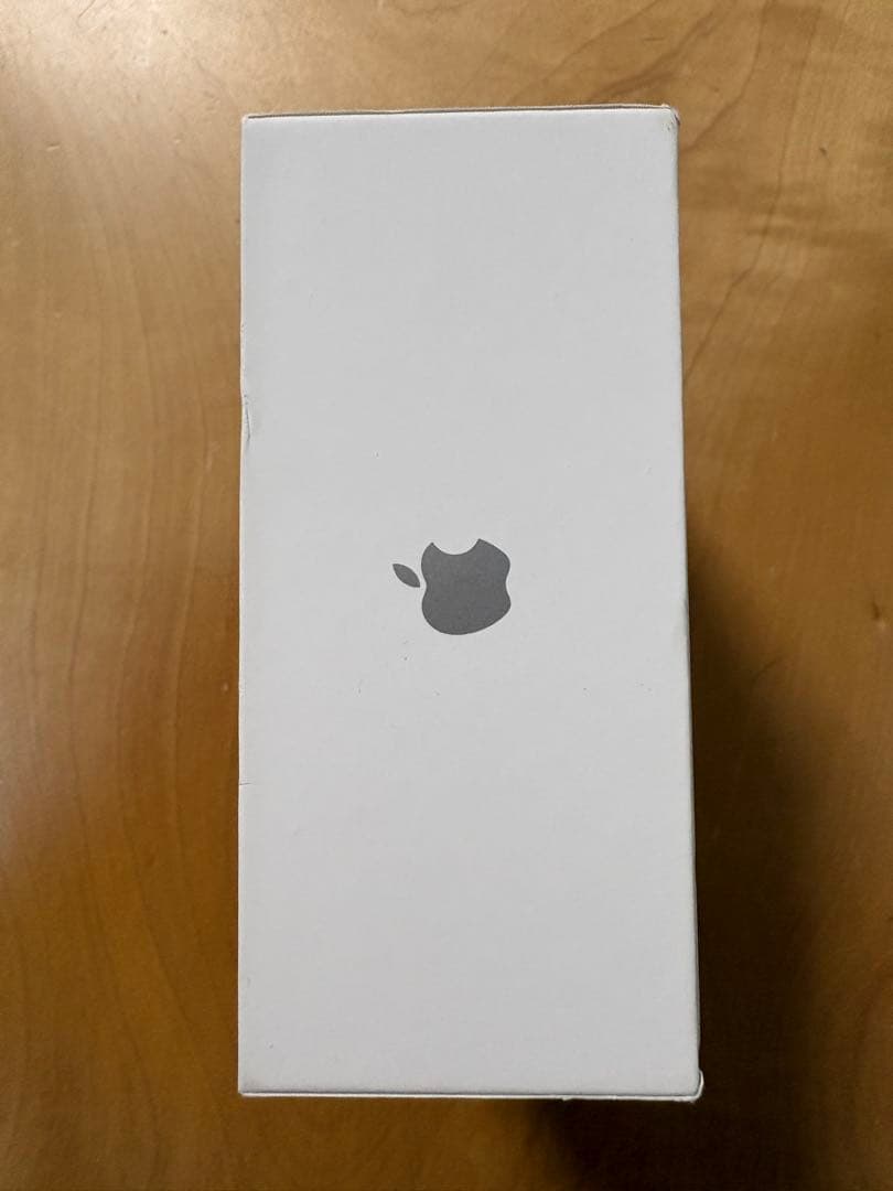 Apple AirPods Pro2 ワイヤレスイヤレスイヤホン