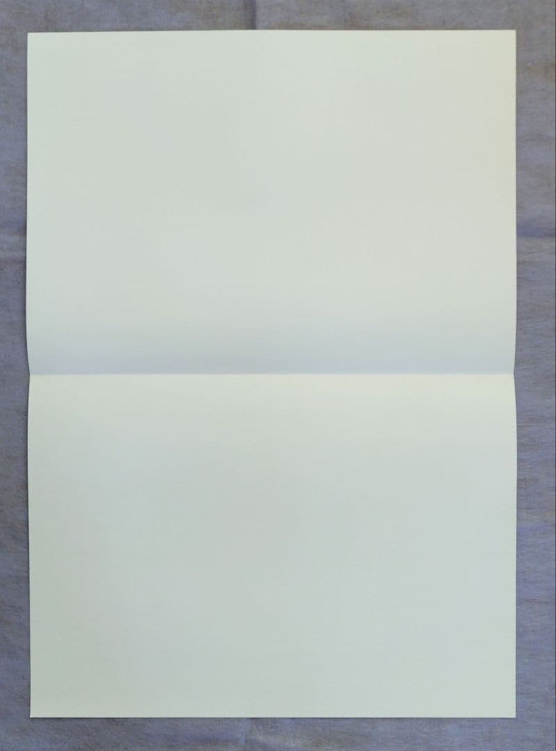 多聞くん今どっち！？ 5巻 非売品 ポスター 【希少】