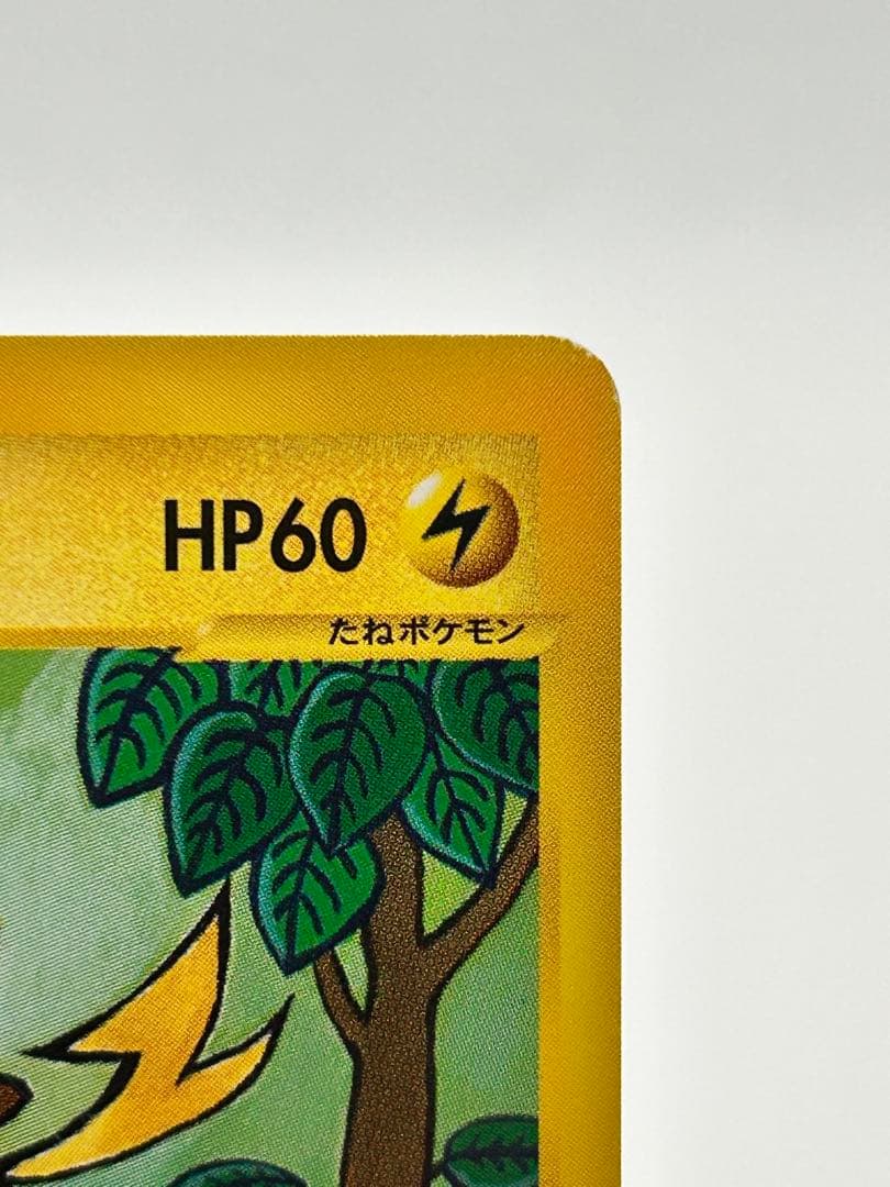 eカード　ポケモンカード　ミカンのサンダース ミカンのライチュー