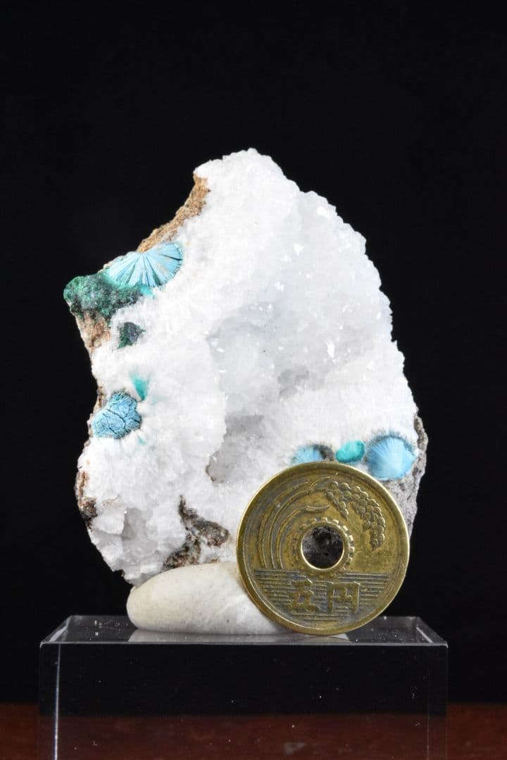 コンゴ Tantara Mine産 シャッタカイトと水晶