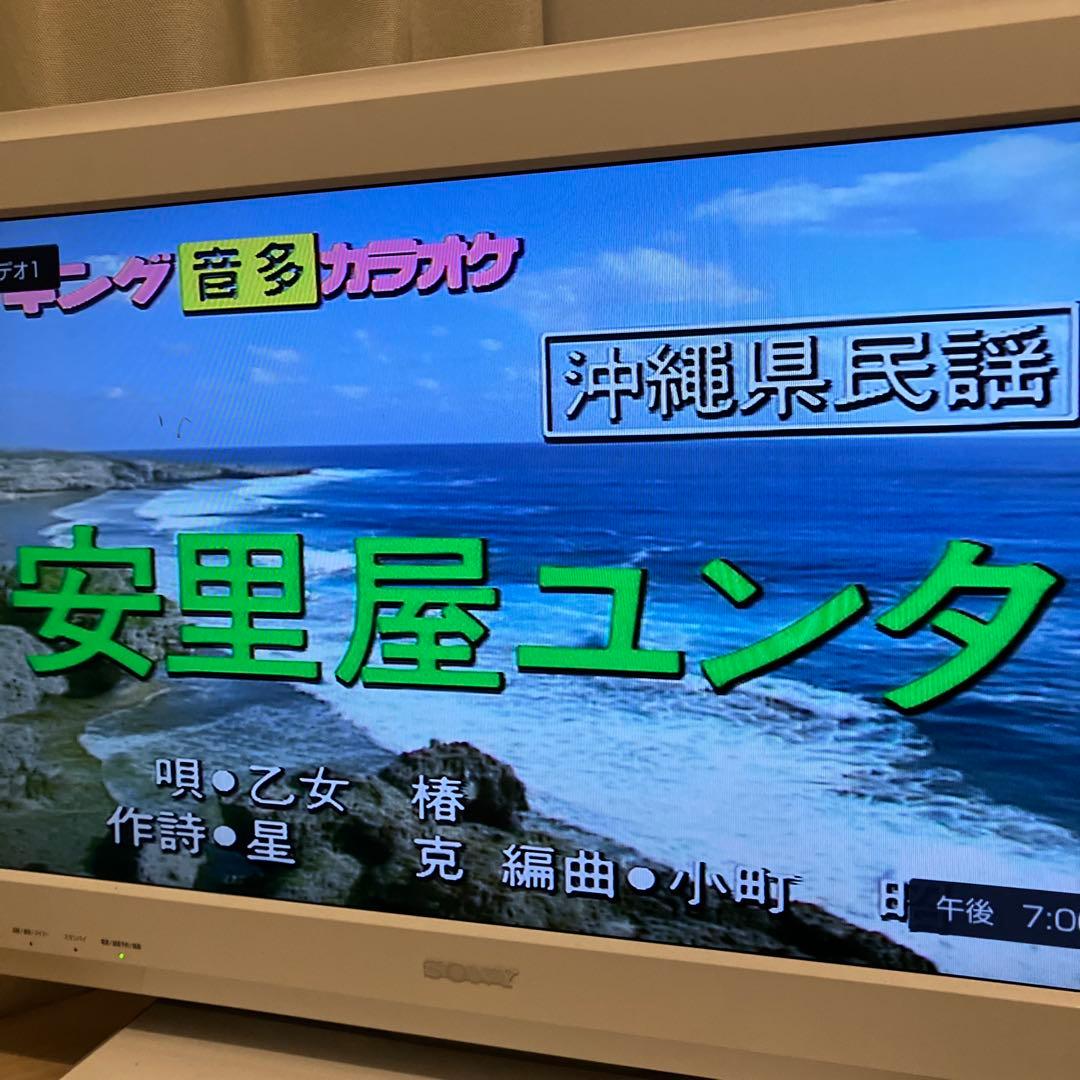 【動作確認済】マルチレーザーディスクプレーヤー（LX-K700，LY-A655）