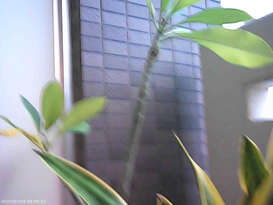 デジタルカメラ, 6800万画素, 2.8インチ液晶, 128GB S M322