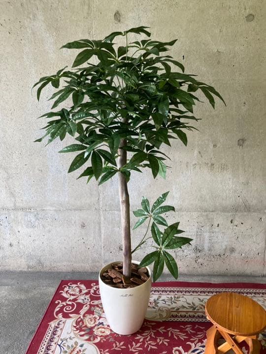 光触媒　人工観葉植物　ウォールグリーン　フェイク　フラワー　パキラ138138
