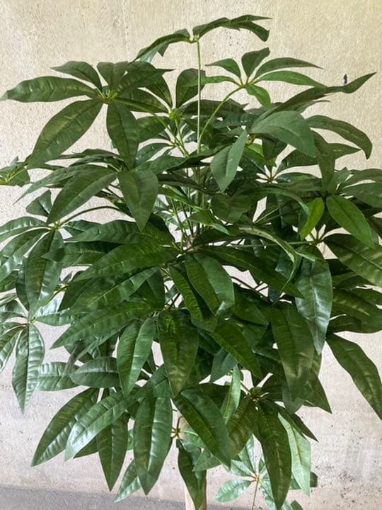 光触媒　人工観葉植物　ウォールグリーン　フェイク　フラワー　パキラ138138