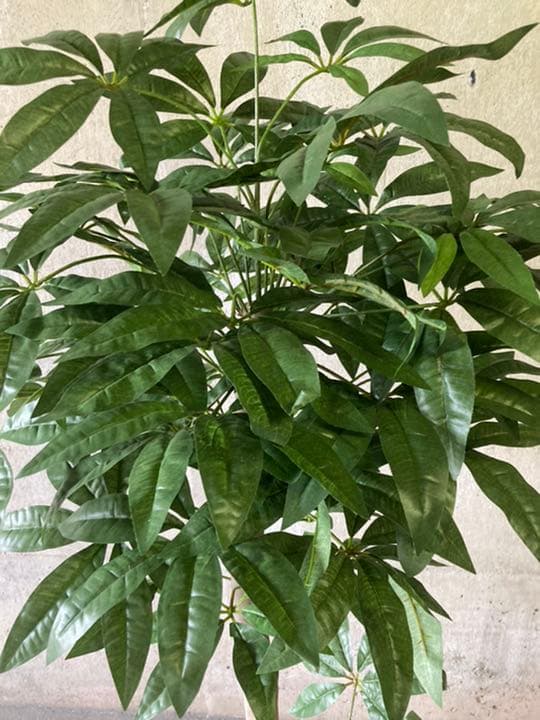 光触媒　人工観葉植物　ウォールグリーン　フェイク　フラワー　パキラ138138