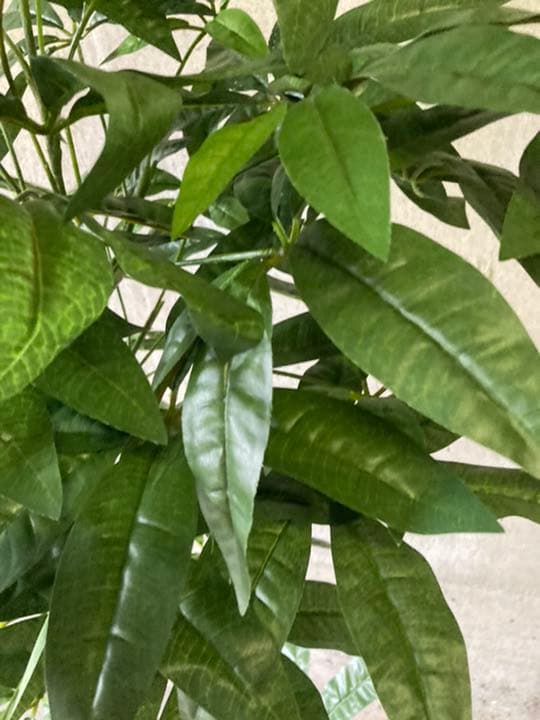 光触媒　人工観葉植物　ウォールグリーン　フェイク　フラワー　パキラ138138