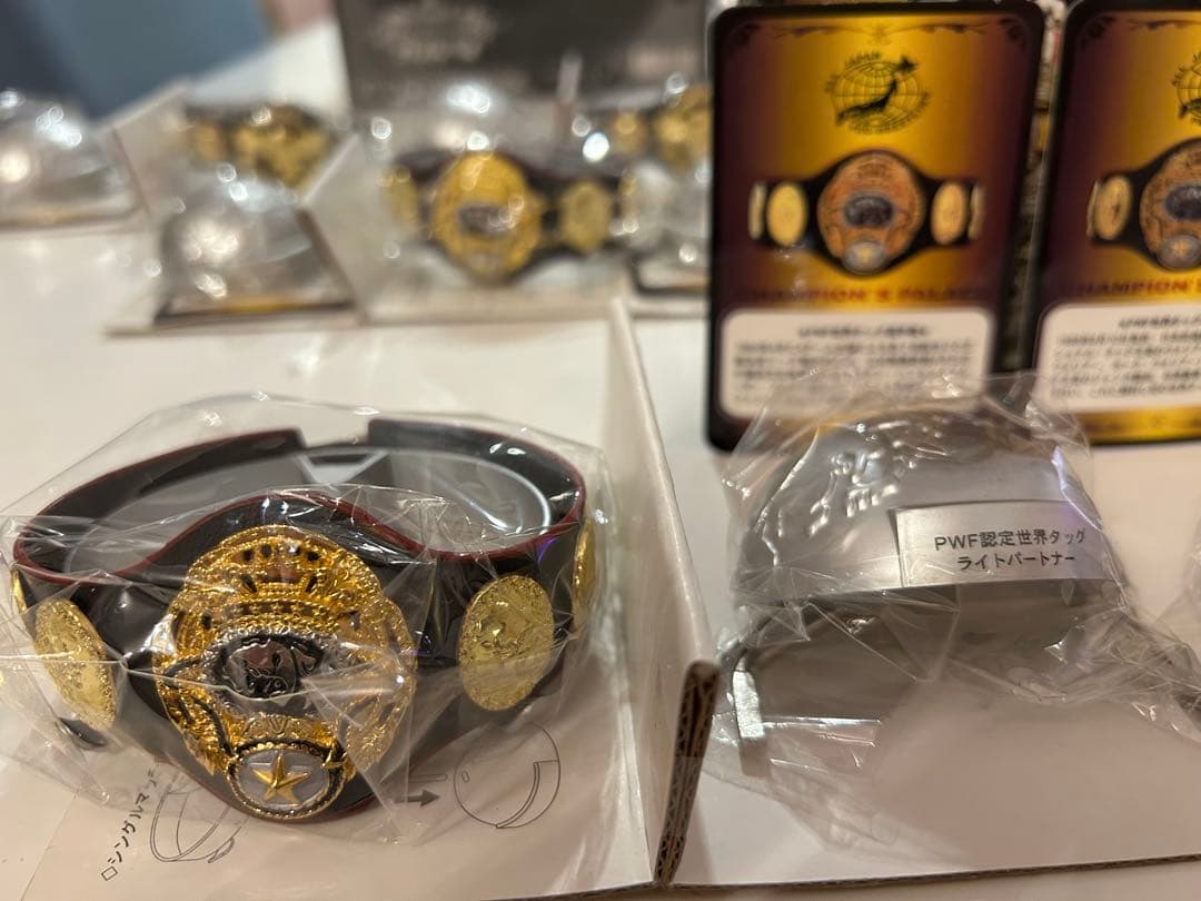 全日本プロレス　チャンピオンベルト ノーマル全10種セット　マイスタージャパン