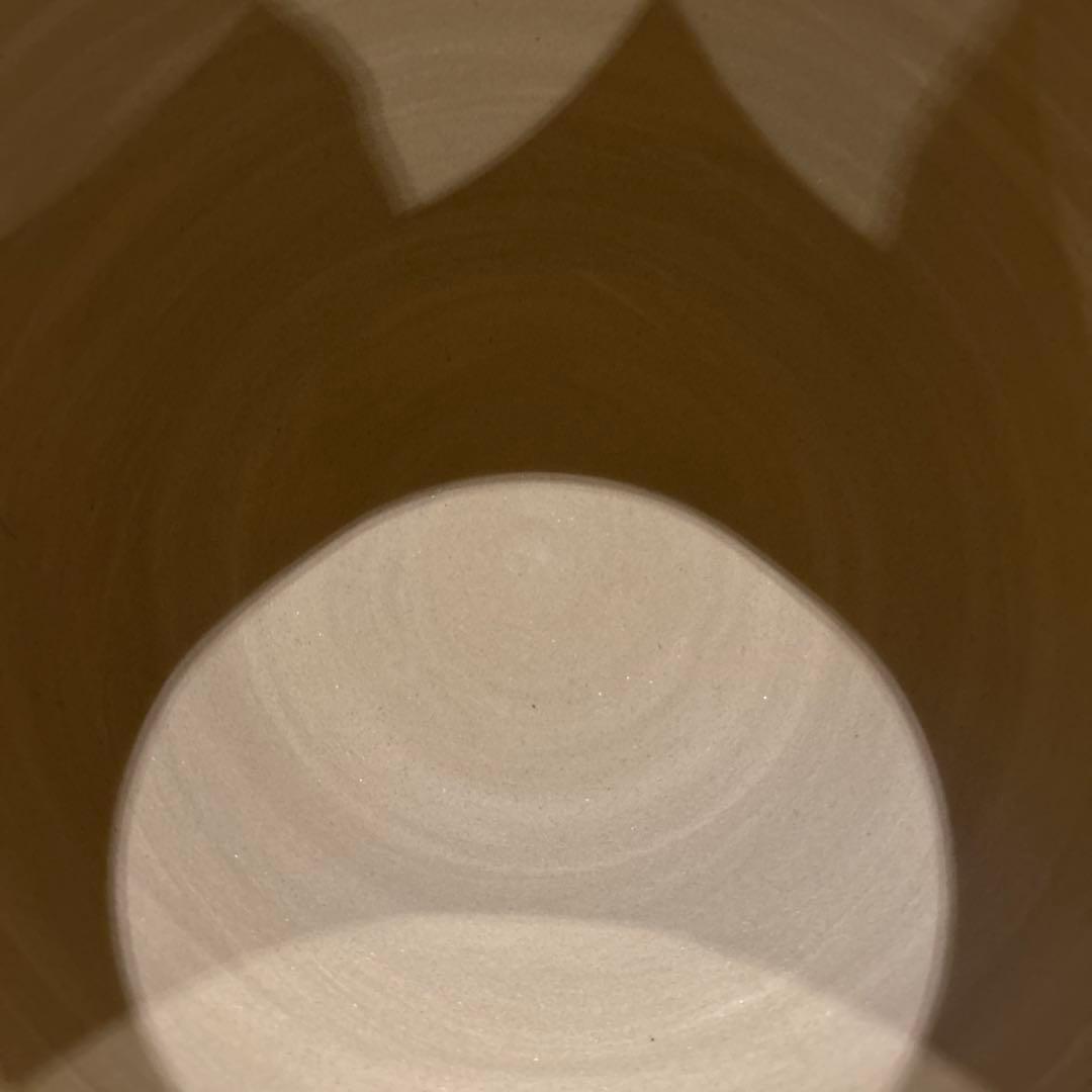 中国工芸品 茶壷 飛びかんな 彫刻絵付 希少