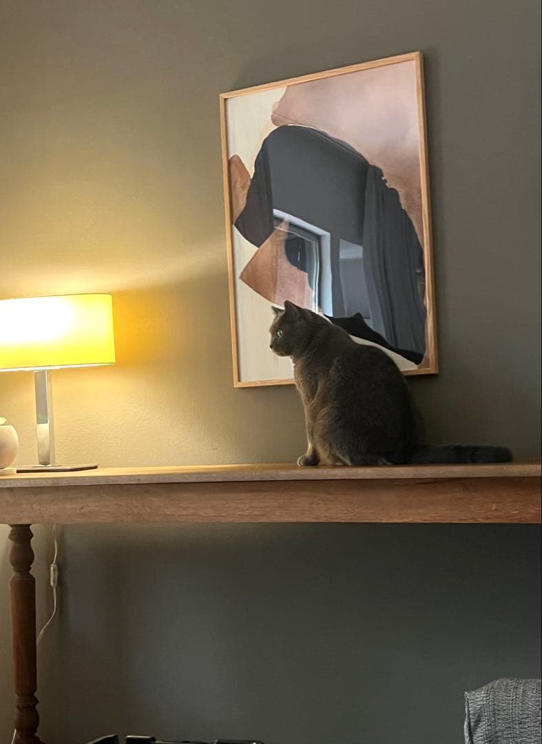 Paper Collective | Blue Knit 北欧 アート