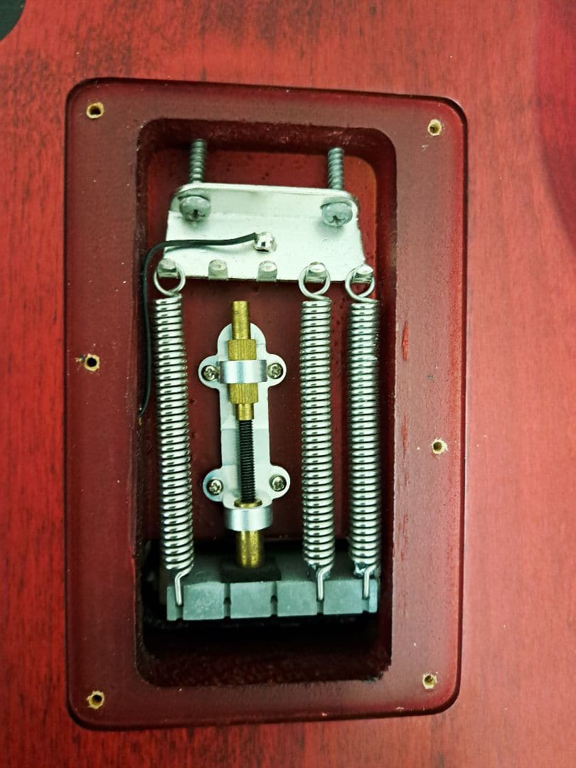 Washburn N24 ALDER / PADAUK 【状態良し】