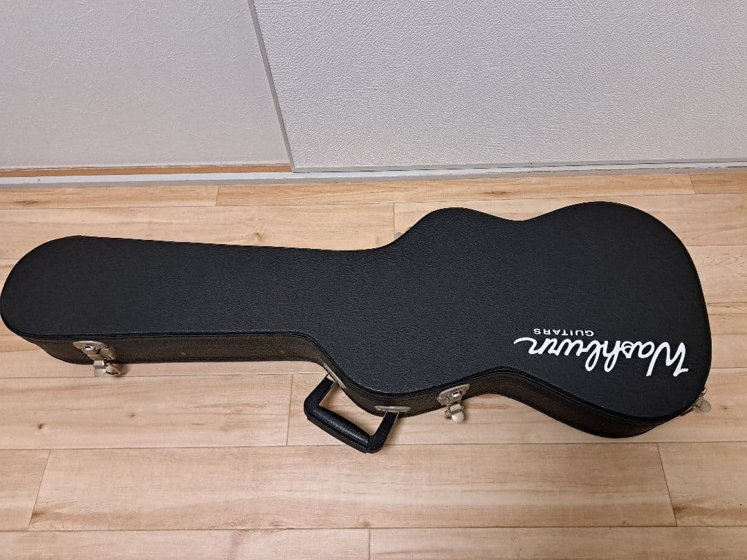 Washburn N24 ALDER / PADAUK 【状態良し】