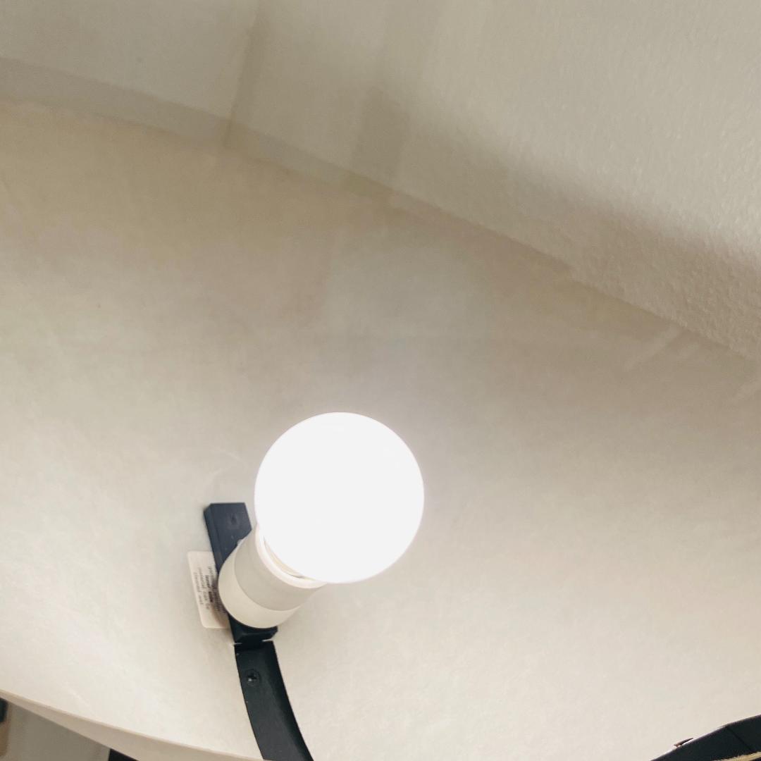 DOMUS ドムス ビンテージ フロアスタンド トールサイズ 185cm