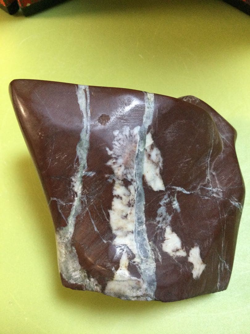 岐阜県根尾谷産菊花石　菊花石　観賞石