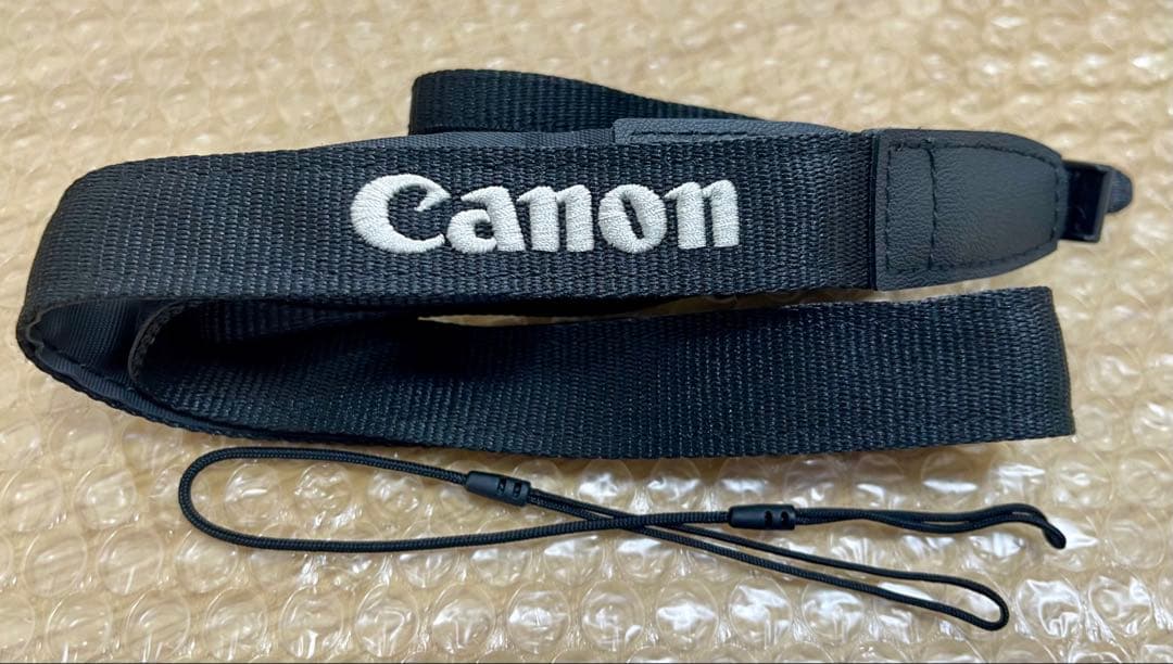 最終値下げ！Canon PowerShot SX70 HS ⭐︎美品⭐︎ バッグ付き
