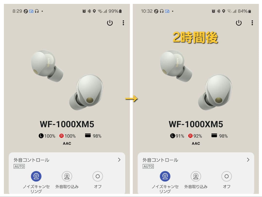 【バッテリー良好】SONY WF-1000XM5 プラチナシルバー 左耳