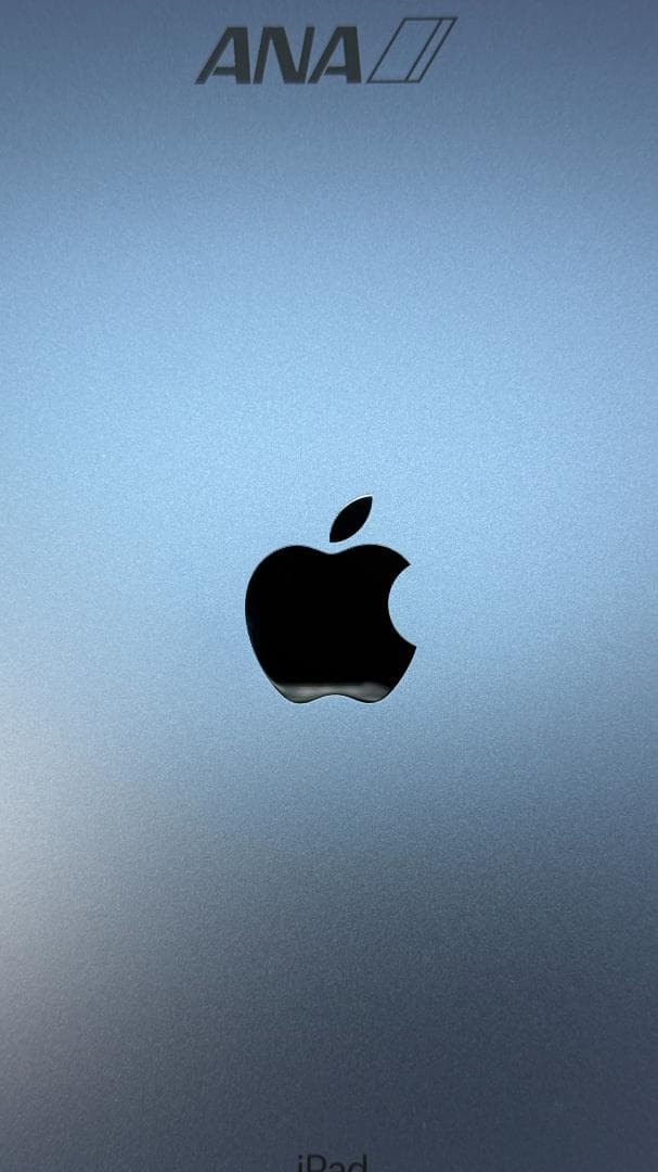 第10 iPad Wi-Fi 256GB ブルー ANA刻印 SFC