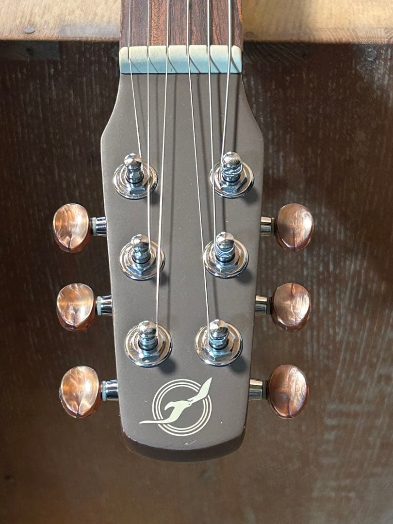 seagull grandパーラータイプ・エレクトリックアコースティックギター