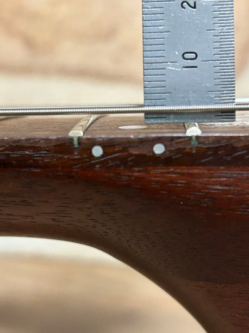 seagull grandパーラータイプ・エレクトリックアコースティックギター