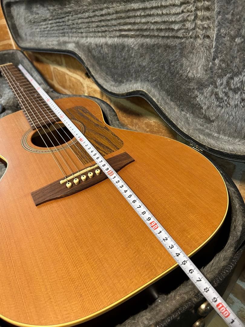 seagull grandパーラータイプ・エレクトリックアコースティックギター