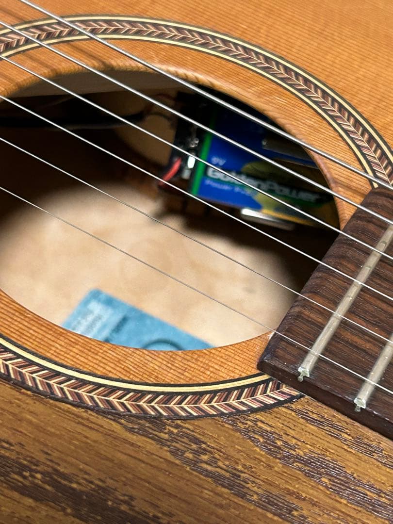 seagull grandパーラータイプ・エレクトリックアコースティックギター