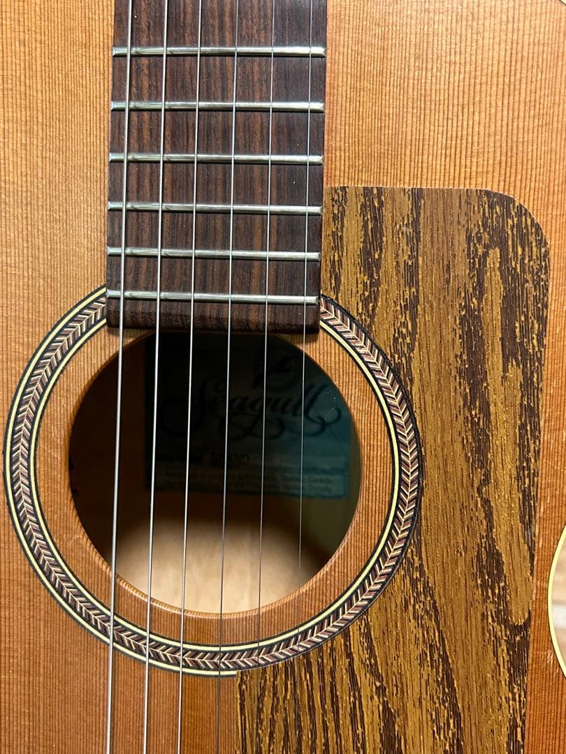 seagull grandパーラータイプ・エレクトリックアコースティックギター