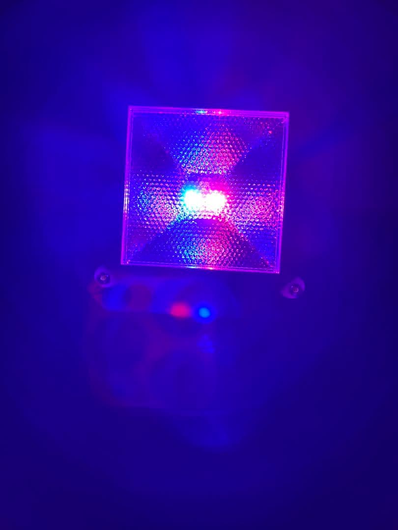 ハーバリウムトールテコラとペーパーナノLEDディスプレイライト