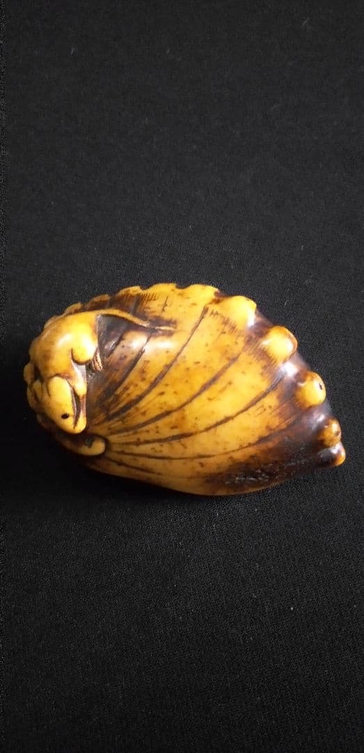 骨董時代提げ物、根付け鼠鮑の縁起物彫刻 約6cm
