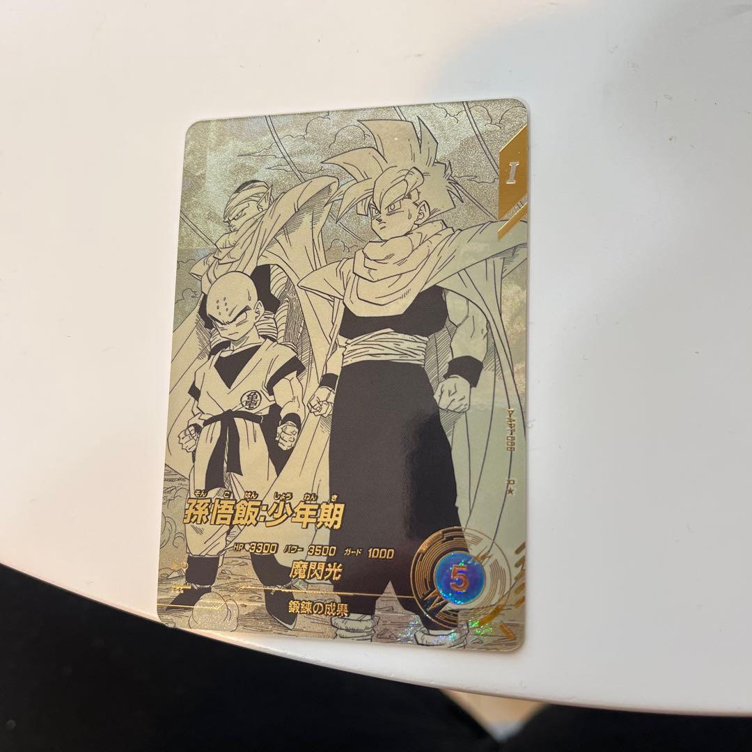 アドバンスパック　孫悟飯　apt-008 パラレル