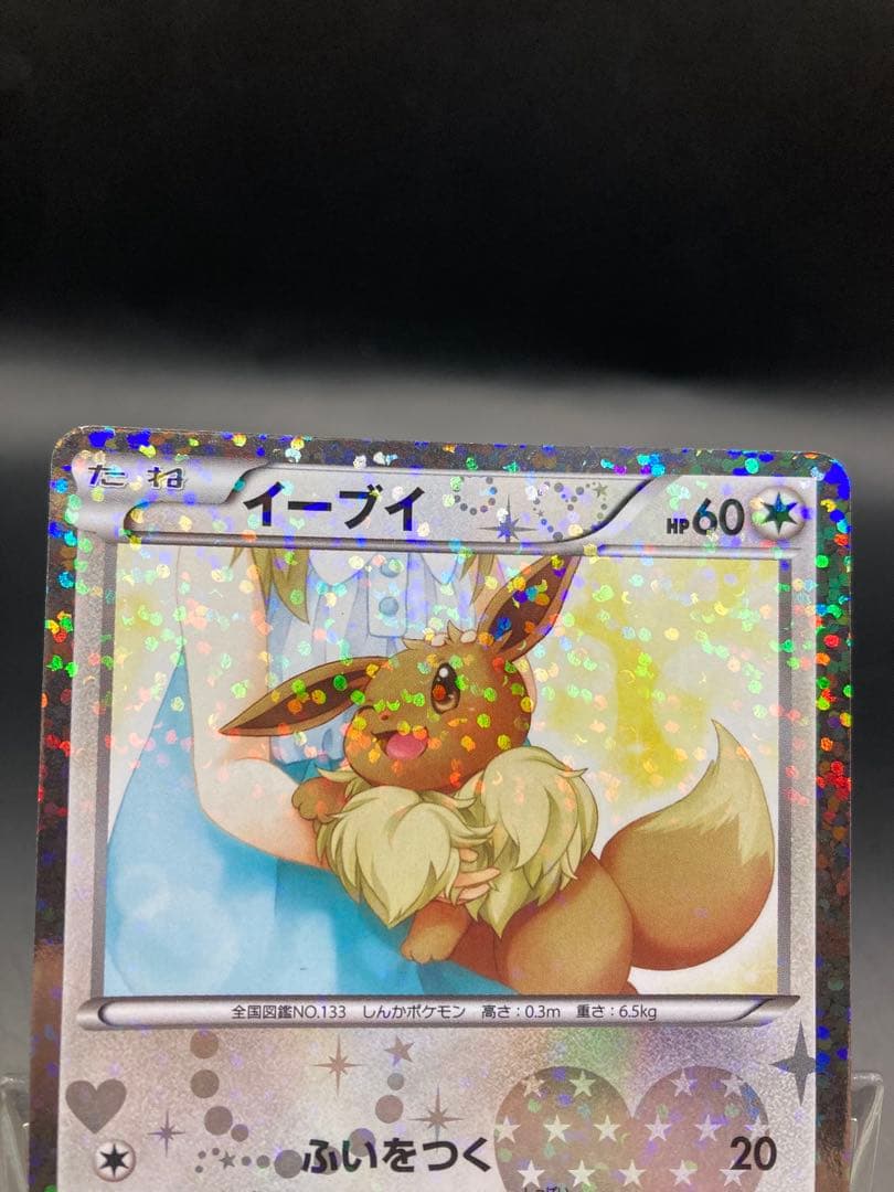 イーブイ sc シャイニーコレクション