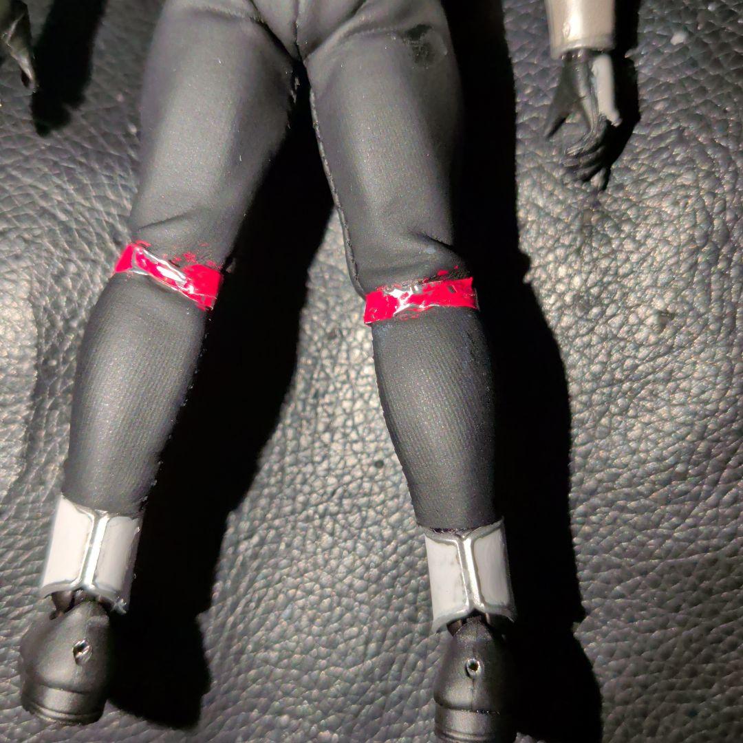 真骨彫カスタムS.H.Figuarts 　アギト　シャイニングフォーム