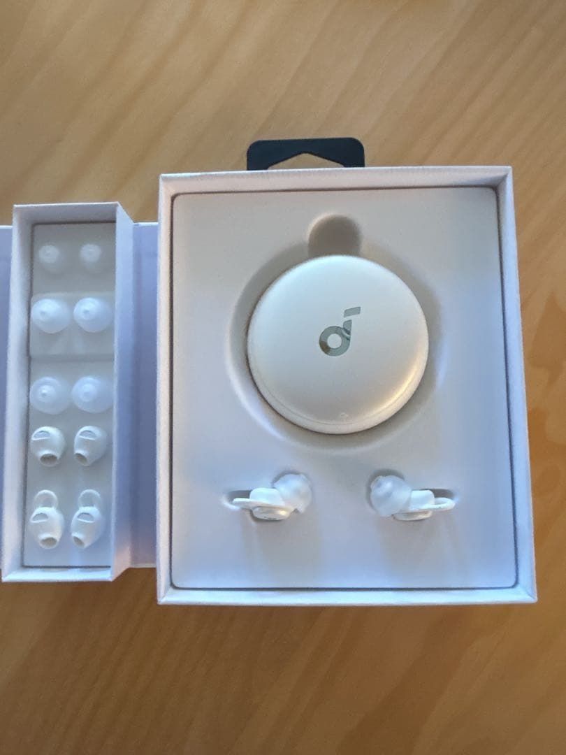 Anker soundcore SLEEP A10 Bluetoothイヤフォン