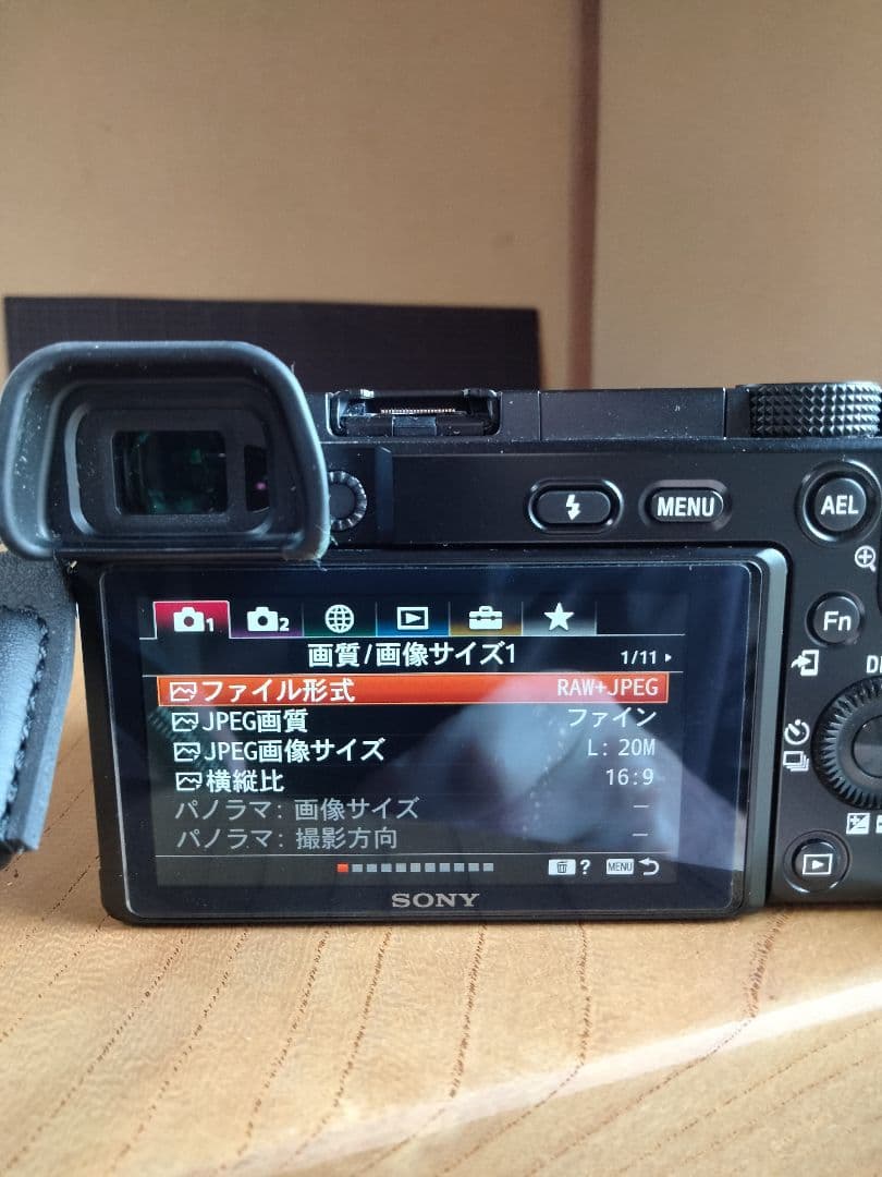 Sony a6100 + 16-50mmレンズ / バッテリー2個付き