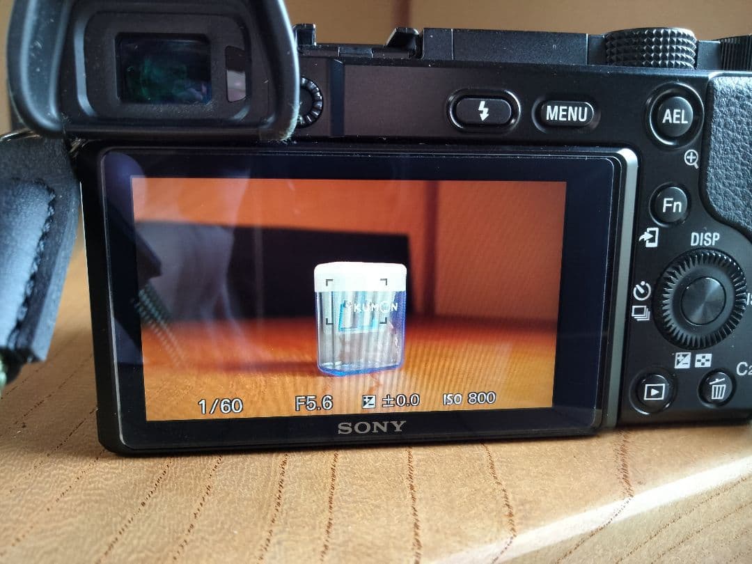Sony a6100 + 16-50mmレンズ / バッテリー2個付き