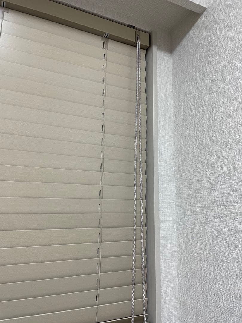 即発送！タチカワブラインド　エコスラッド