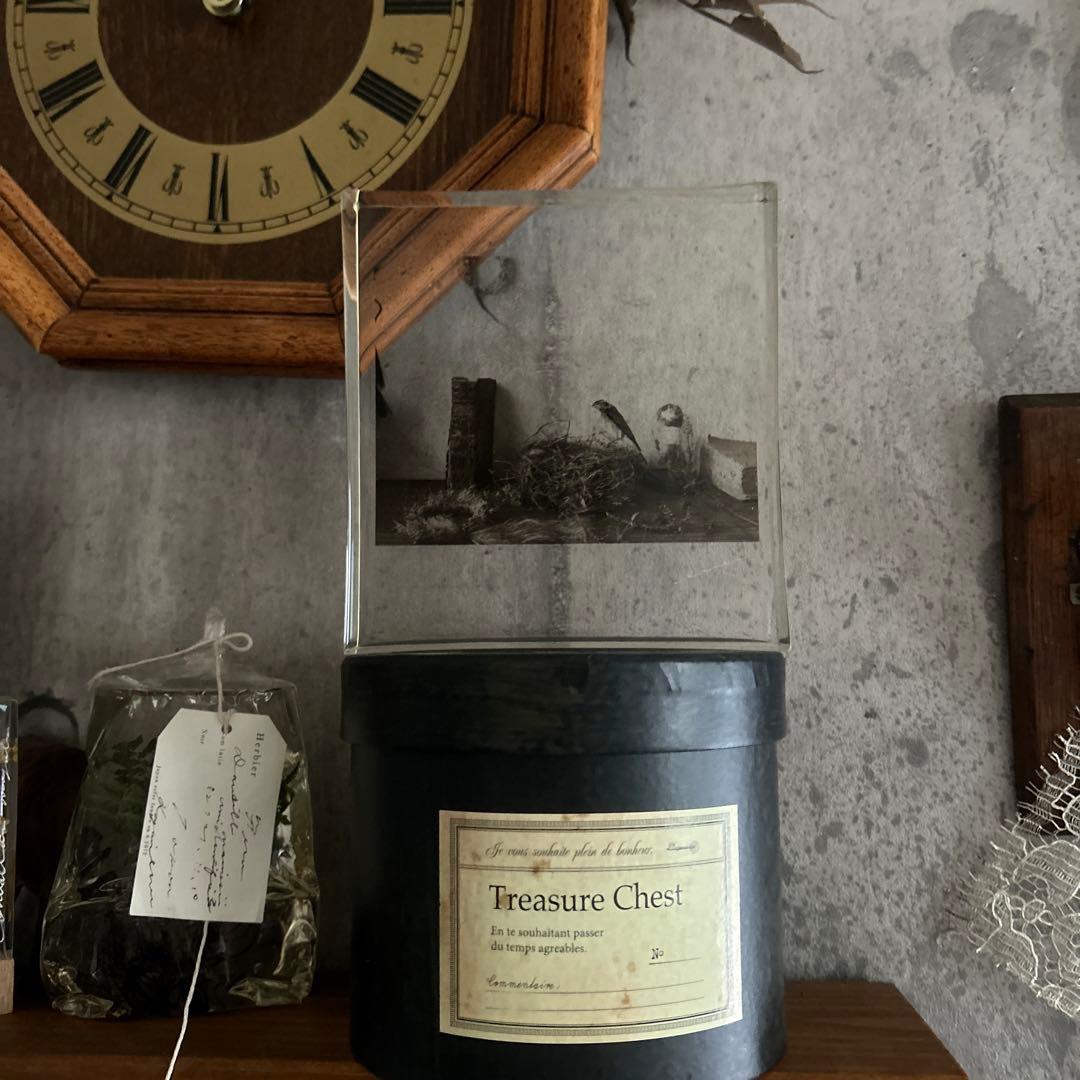 樹脂標本 ブロカント フィルム errer アンティーク