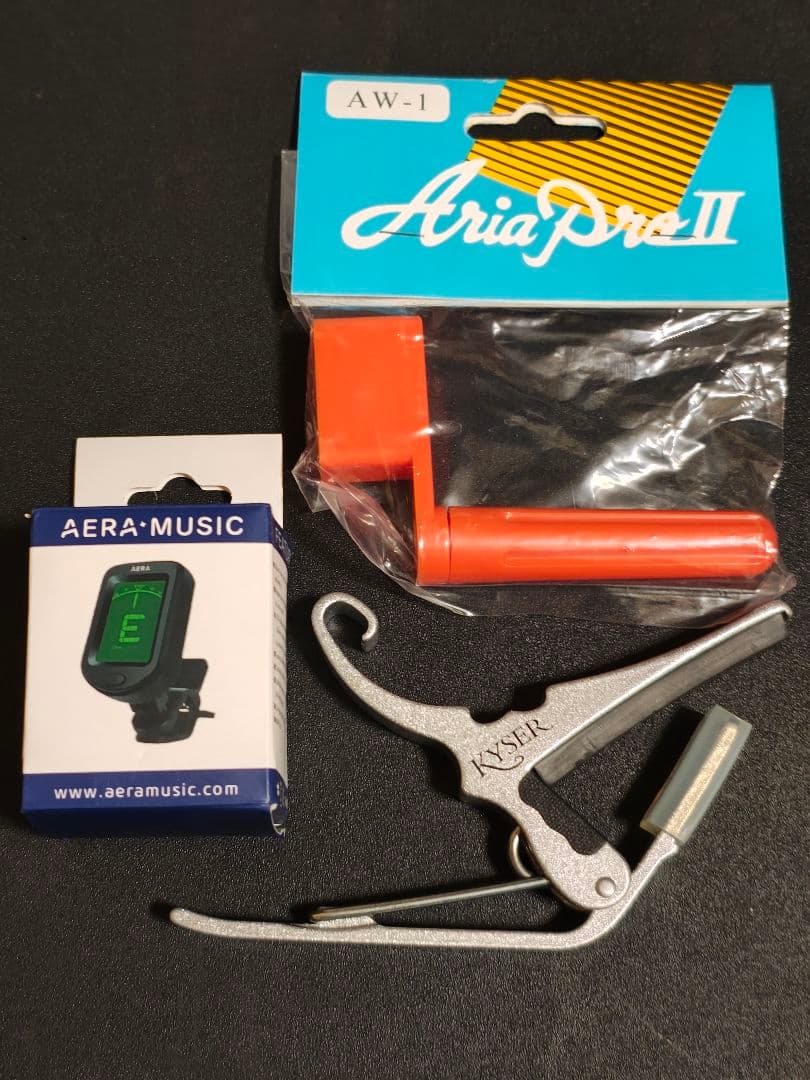 トーチインレイAria ADW-200/JAPANビンテージ/オマケ多数