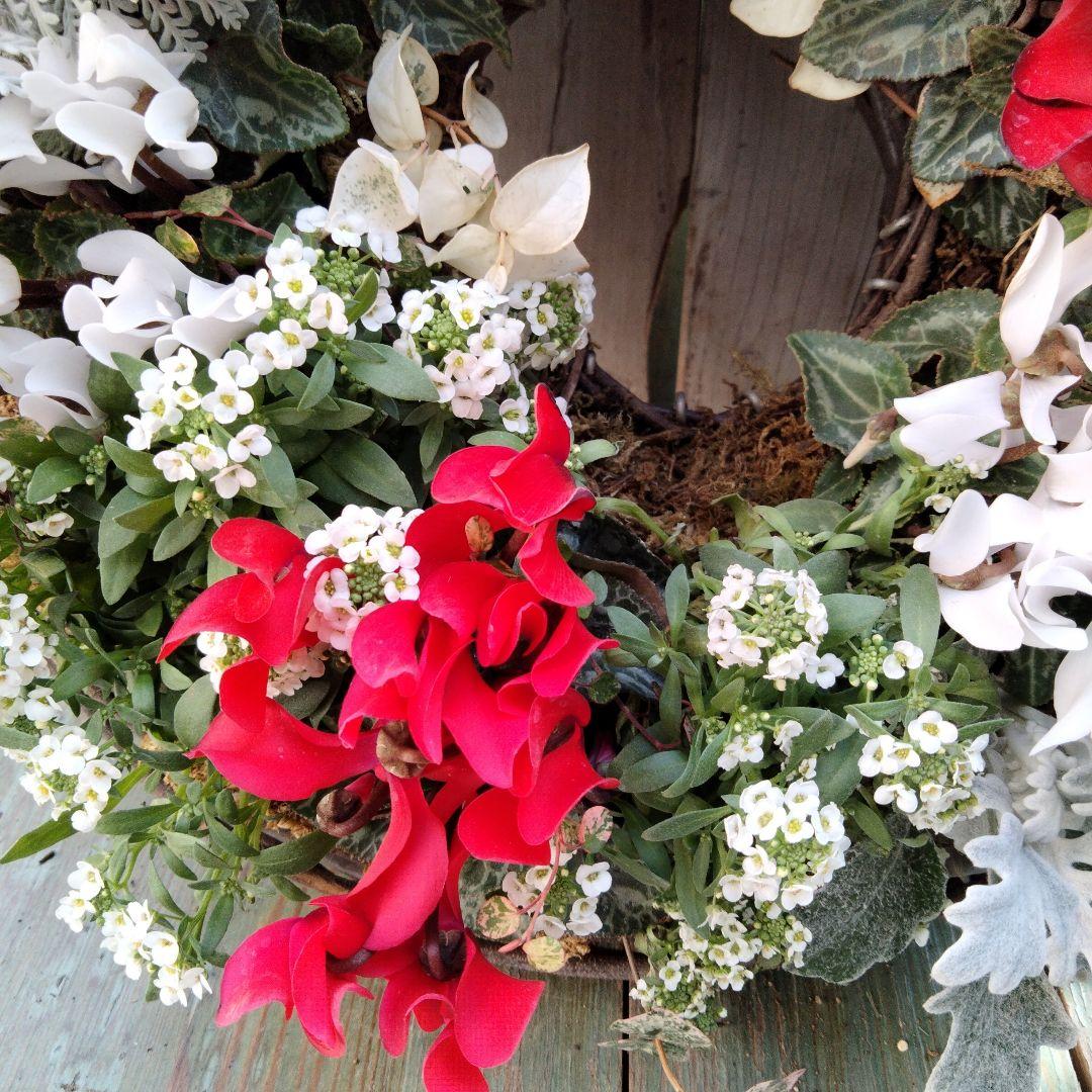 【お値下げしました】花　寄せ植え　クリスマス　リース