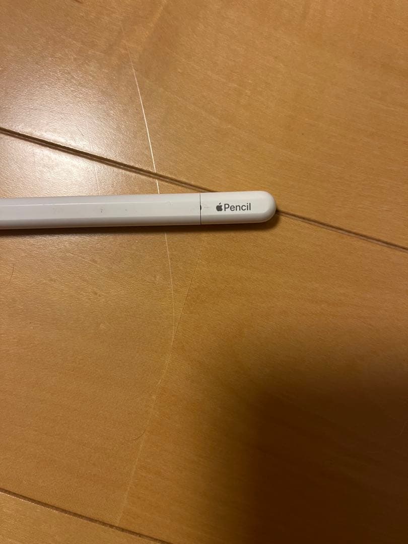 Apple Pencil（USB-C）純正