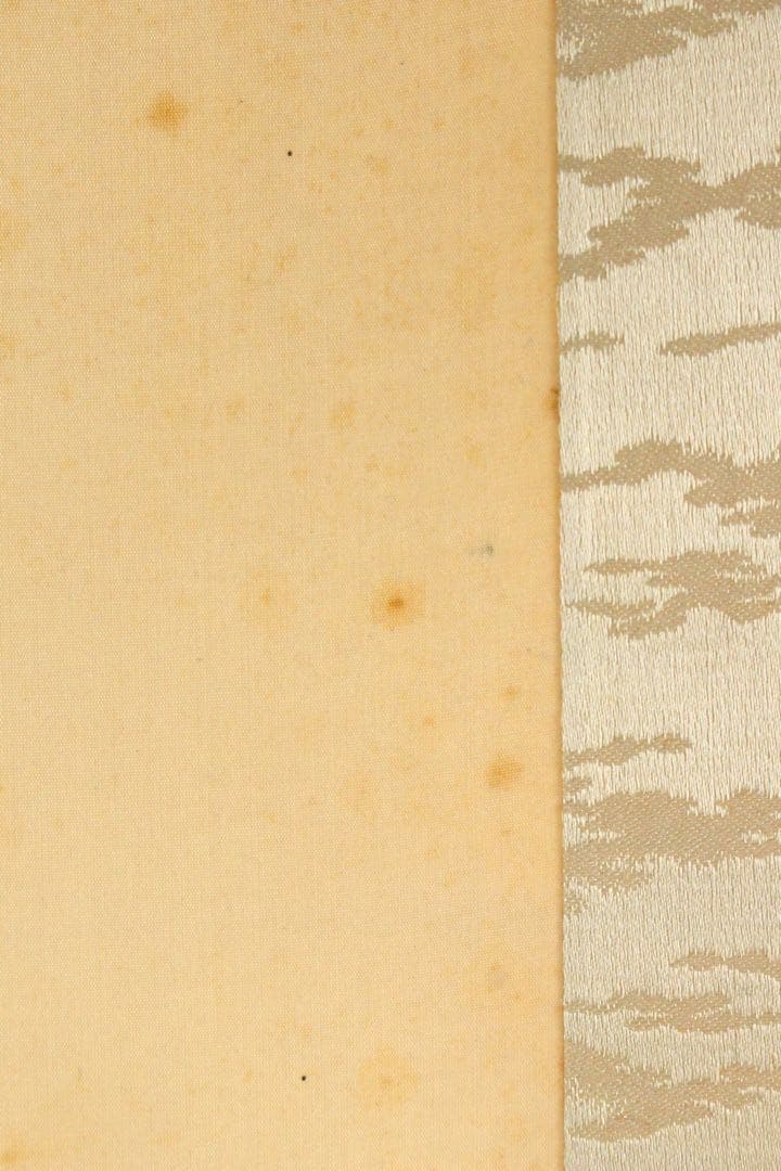 No5240 掛軸　呉竹仙史　安田篤　嵐峡画賛　絹本着色　合箱　日本画　送料無料