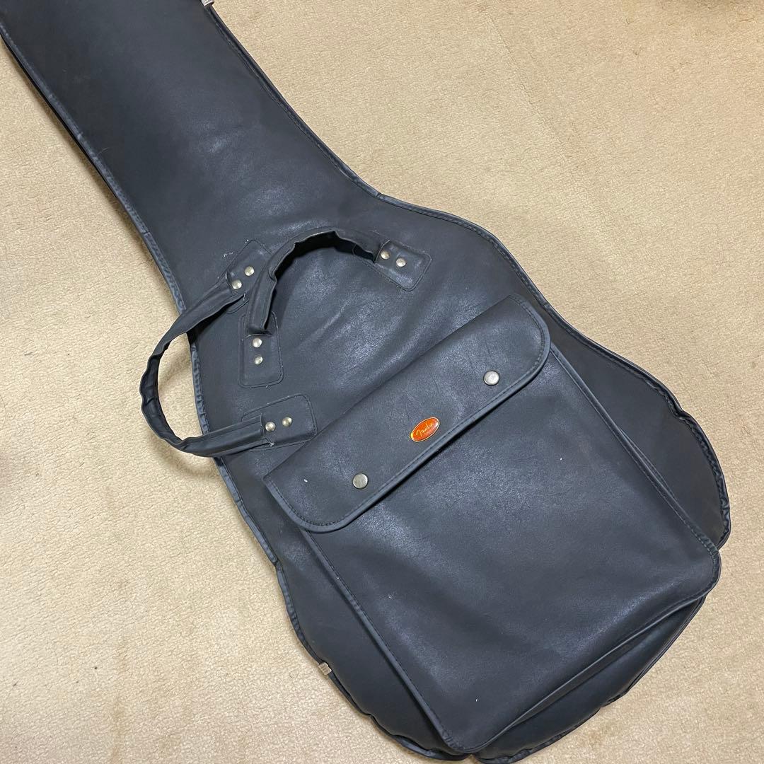 ギター Fender Player Stratocaster Pau Ferro