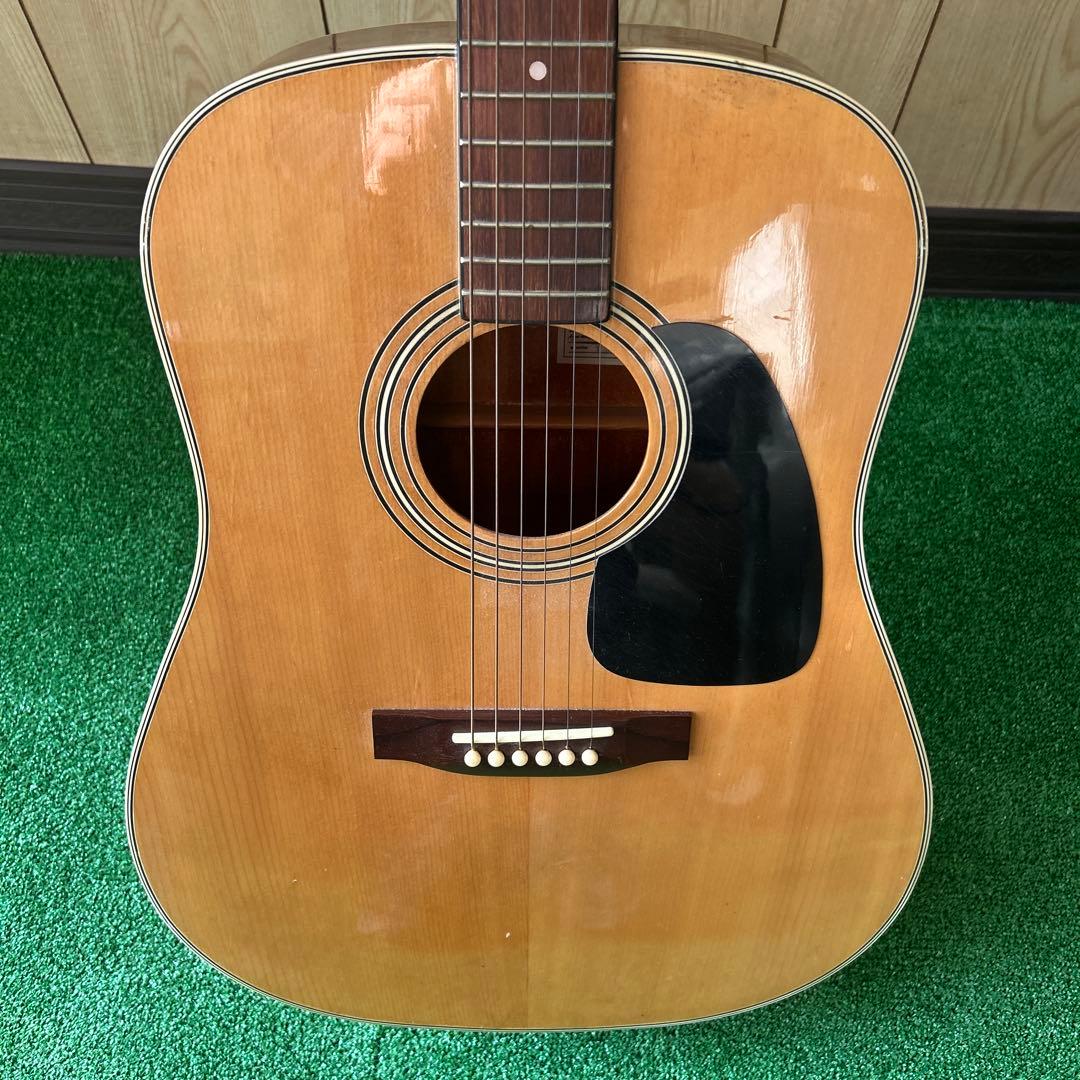 Takamine アコースティックギター