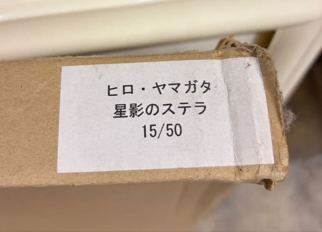 【希少】ヒロ・ヤマガタ「星影のステラ」シルクスクリーン 版画 額装済み15/50