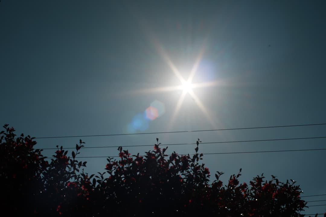 【極美品】Carl Zeiss Planar 50mm F1.4 MMJ 996